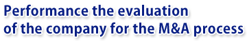 Performance the evaluation of the company for the M&A process